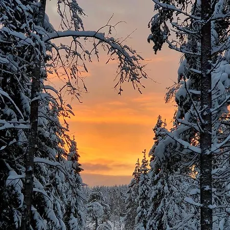 Kelotupa 19 アパート