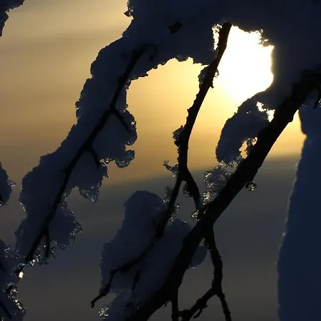 Kelotupa 19 Syöte