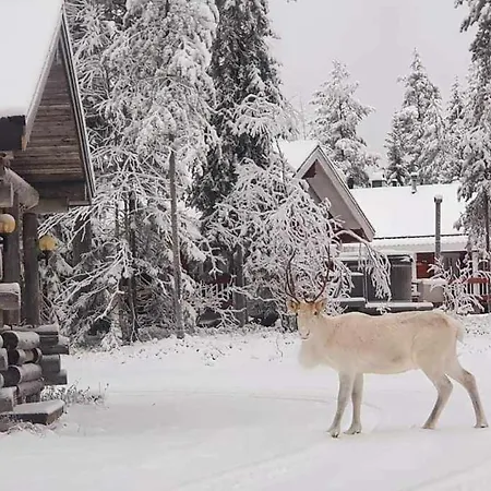 Kelotupa 19 アパート Syöte