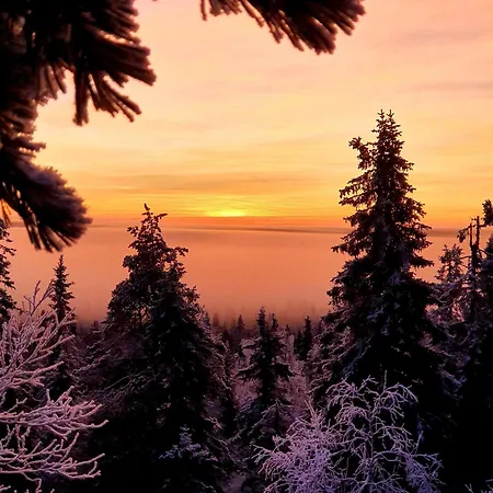 Kelotupa 19 * Syöte