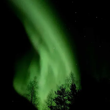 Kelotupa 19 アパート