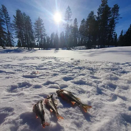 Kelotupa 19 Syöte