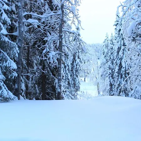 Kelotupa 19 * Syöte