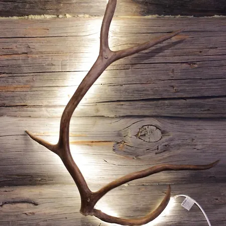 Kelotupa 19 アパート